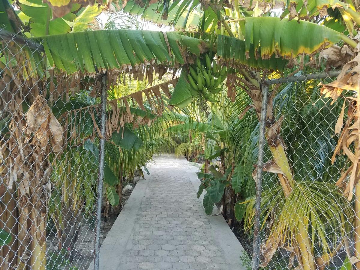 Gonaives Auberge Pont-Gaudin מראה חיצוני תמונה